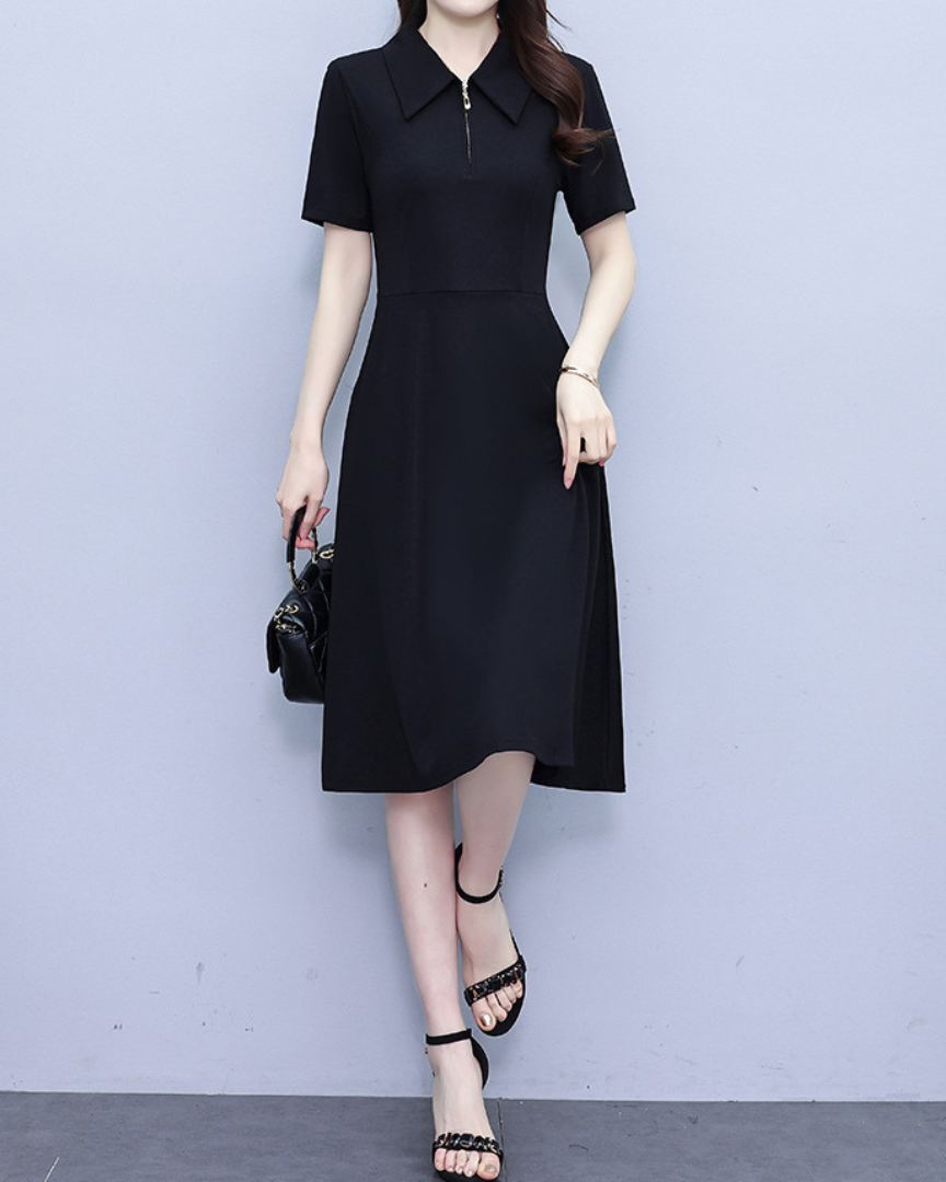 Lyna Sharp Collar Flare Dress