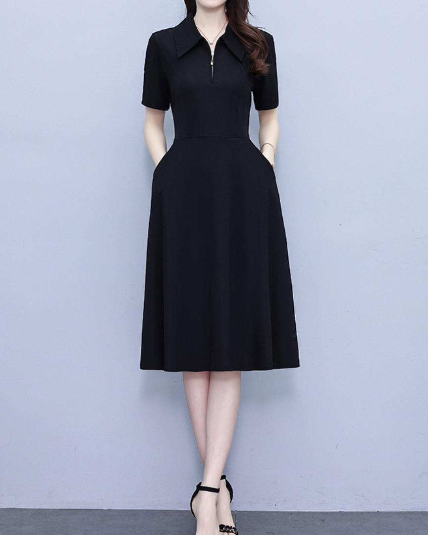 Lyna Sharp Collar Flare Dress