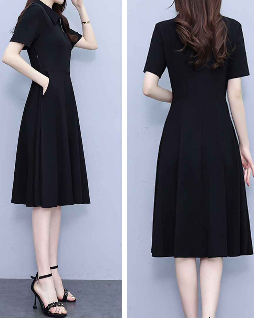 Lyna Sharp Collar Flare Dress