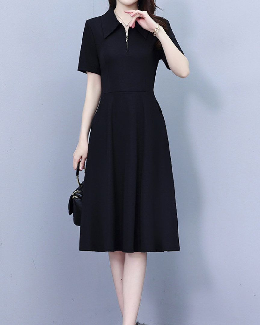 Lyna Sharp Collar Flare Dress